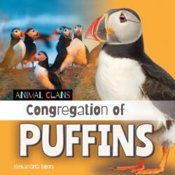 Congregation of Puffins (ISBN: 9781668981597)