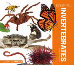 Essential Invertebrates (ISBN: 9781532195532)