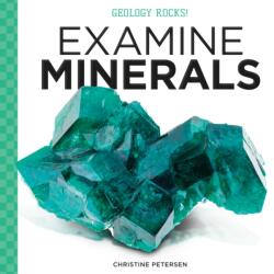 Examine Minerals (ISBN: 9781532191725)