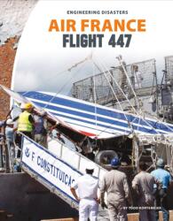 Air France Flight 447 (ISBN: 9781532190704)