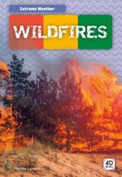 Wildfires (ISBN: 9781532163982)