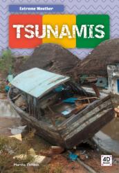Tsunamis (ISBN: 9781532163975)