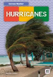 Hurricanes (ISBN: 9781532163944)