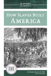 How Slaves Built America (ISBN: 9781532119248)