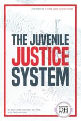 Juvenile Justice System (ISBN: 9781532119217)