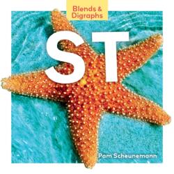 st (ISBN: 9781098282561)