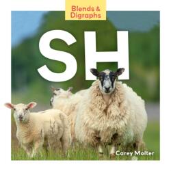 sh (ISBN: 9781098282554)