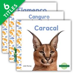 Animales interesantes (ISBN: 9781098267438)