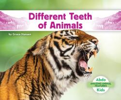 Different Teeth of Animals (ISBN: 9781098266295)
