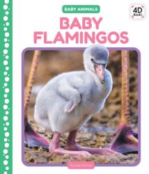 Baby Flamingos (ISBN: 9781098245214)