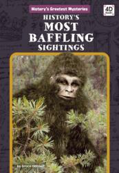 History's Most Baffling Sightings (ISBN: 9781098242282)