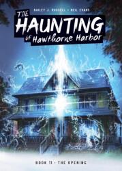 Opening: Book 11 (ISBN: 9781098231897)