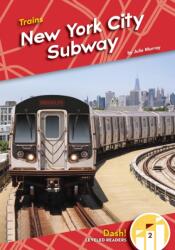 New York City Subway (ISBN: 9781098226749)