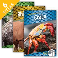 Animals with Armor (ISBN: 9781098226565)