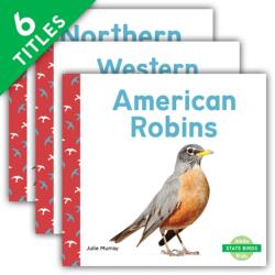 State Birds (ISBN: 9781098207120)