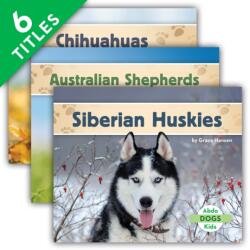 Dogs Set 3 (ISBN: 9781098205980)