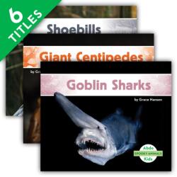 Spooky Animals (ISBN: 9781098202484)