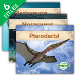 Dinosaurs Set 3 (ISBN: 9781098202415)