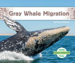 Gray Whale Migration (ISBN: 9781098202330)