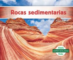 Rocas sedimentarias (ISBN: 9781098201005)