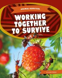 Working Together to Survive (ISBN: 9781532198540)