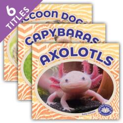 Odd but Adorable Animals (ISBN: 9781098295097)