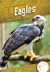 Eagles (ISBN: 9781098280017)