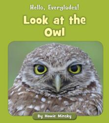 Look at the Owl (ISBN: 9781534157323)