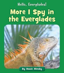 More I Spy in the Everglades (ISBN: 9781534157231)