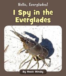 I Spy in the Everglades (ISBN: 9781534157224)