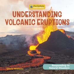 Understanding Volcanic Eruptions (ISBN: 9781534199194)