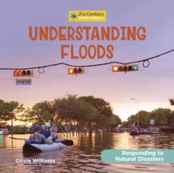 Understanding Floods (ISBN: 9781534199187)