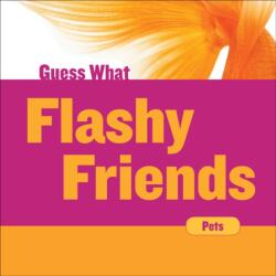 Flashy Friends (ISBN: 9781534100312)