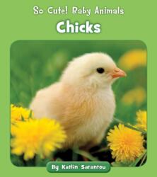 Chicks (ISBN: 9781534179905)