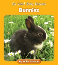 Bunnies (ISBN: 9781534179899)