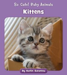 Kittens (ISBN: 9781534179882)