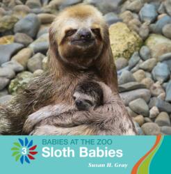 Sloth Babies (ISBN: 9781534158979)