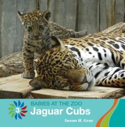 Jaguar Cubs (ISBN: 9781534158948)