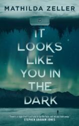 It Looks Like You in the Dark (ISBN: 9781250480408)