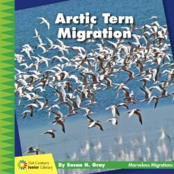 Arctic Tern Migration (ISBN: 9781534168572)