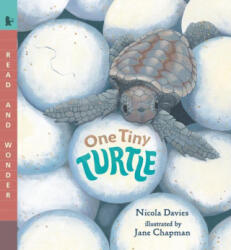 One Tiny Turtle - Jane Chapman (ISBN: 9781536235371)