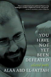 You Have Not Yet Been Defeated: Selected Works 2011-2021 - Naomi Klein (ISBN: 9781644212455)
