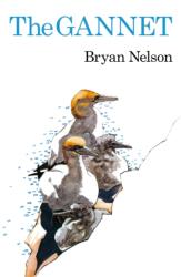 The Gannet (ISBN: 9781408138588)