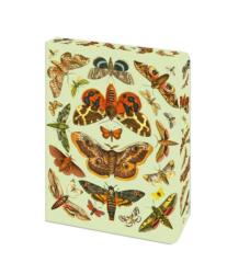Moth Journal (ISBN: 9781398866546)