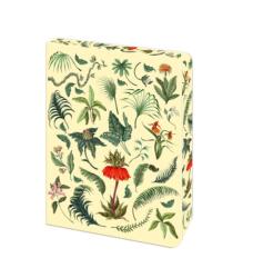Fern Journal (ISBN: 9781398866539)