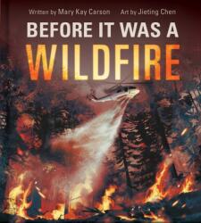 Before It Was a Wildfire (ISBN: 9781499819007)