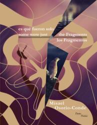 some were just the Fragments // es que fueron solo los Fragmentos (ISBN: 9781936097708)