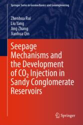 Seepage Mechanisms and the Development of CO2 Injection in Sandy Conglomerate Reservoirs (ISBN: 9789819201280)