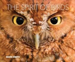 The Spirit of Birds (ISBN: 9781423669876)