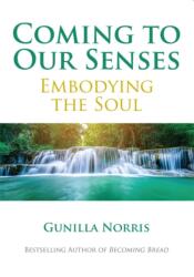 Coming to Our Senses (ISBN: 9780809158034)